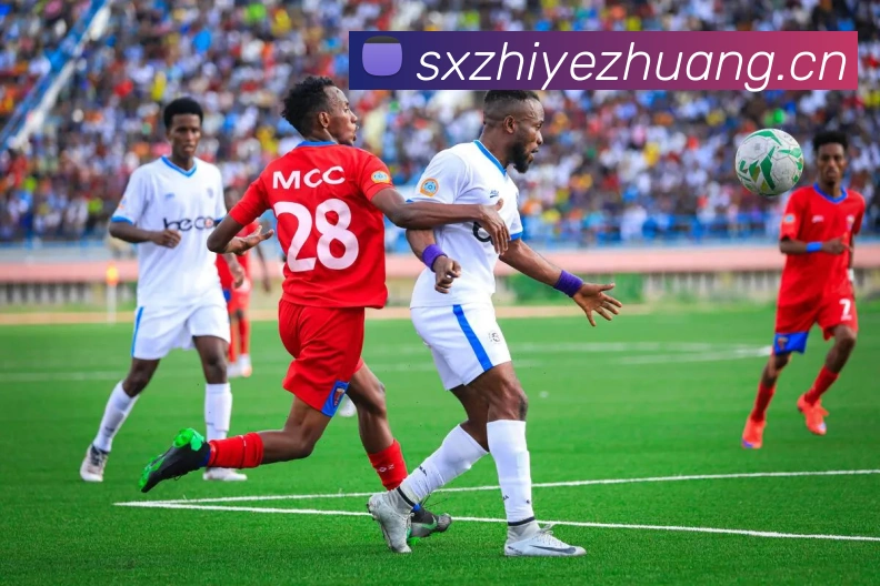 星空体育首页官网全站App